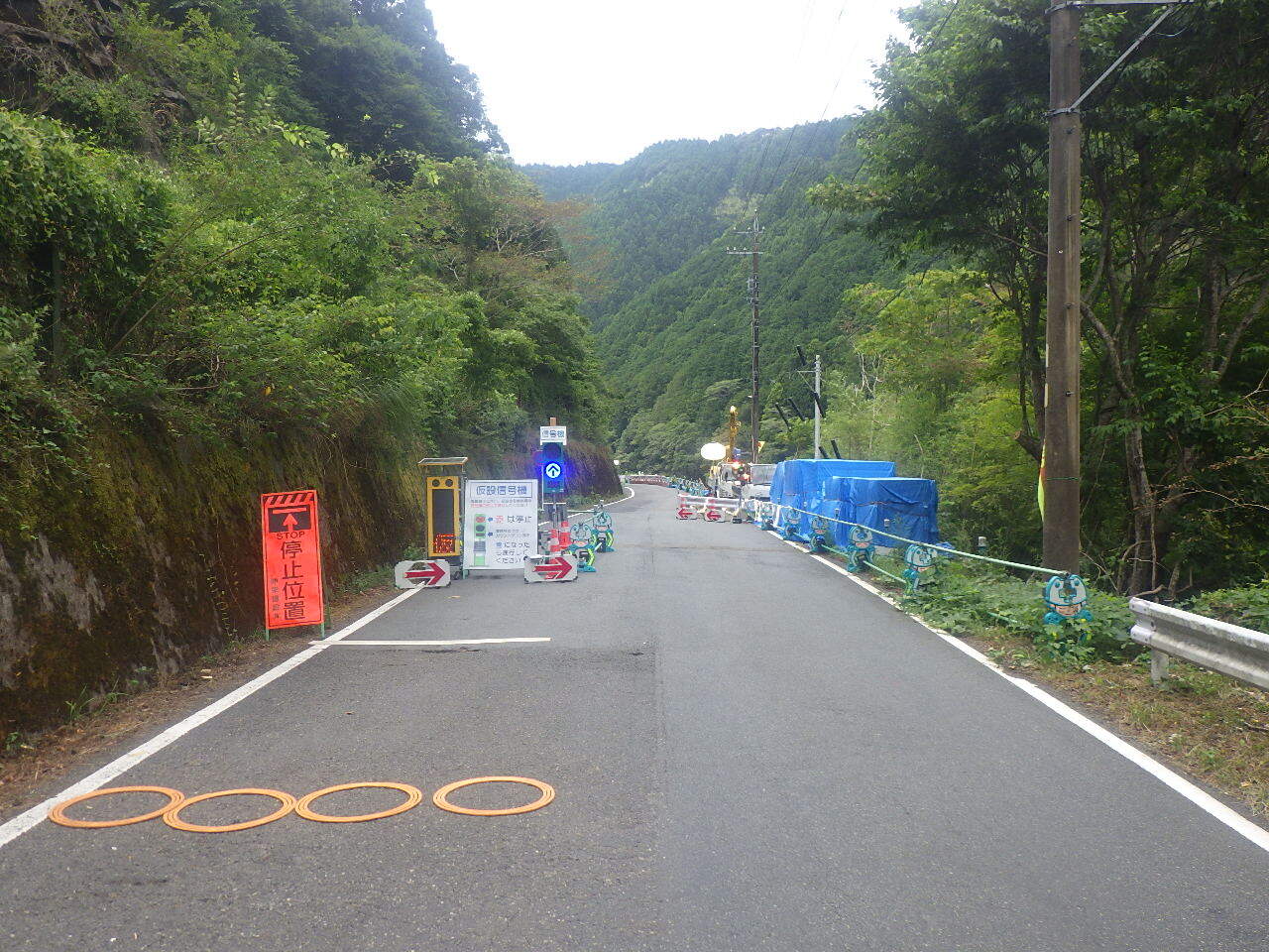 RIMG6549