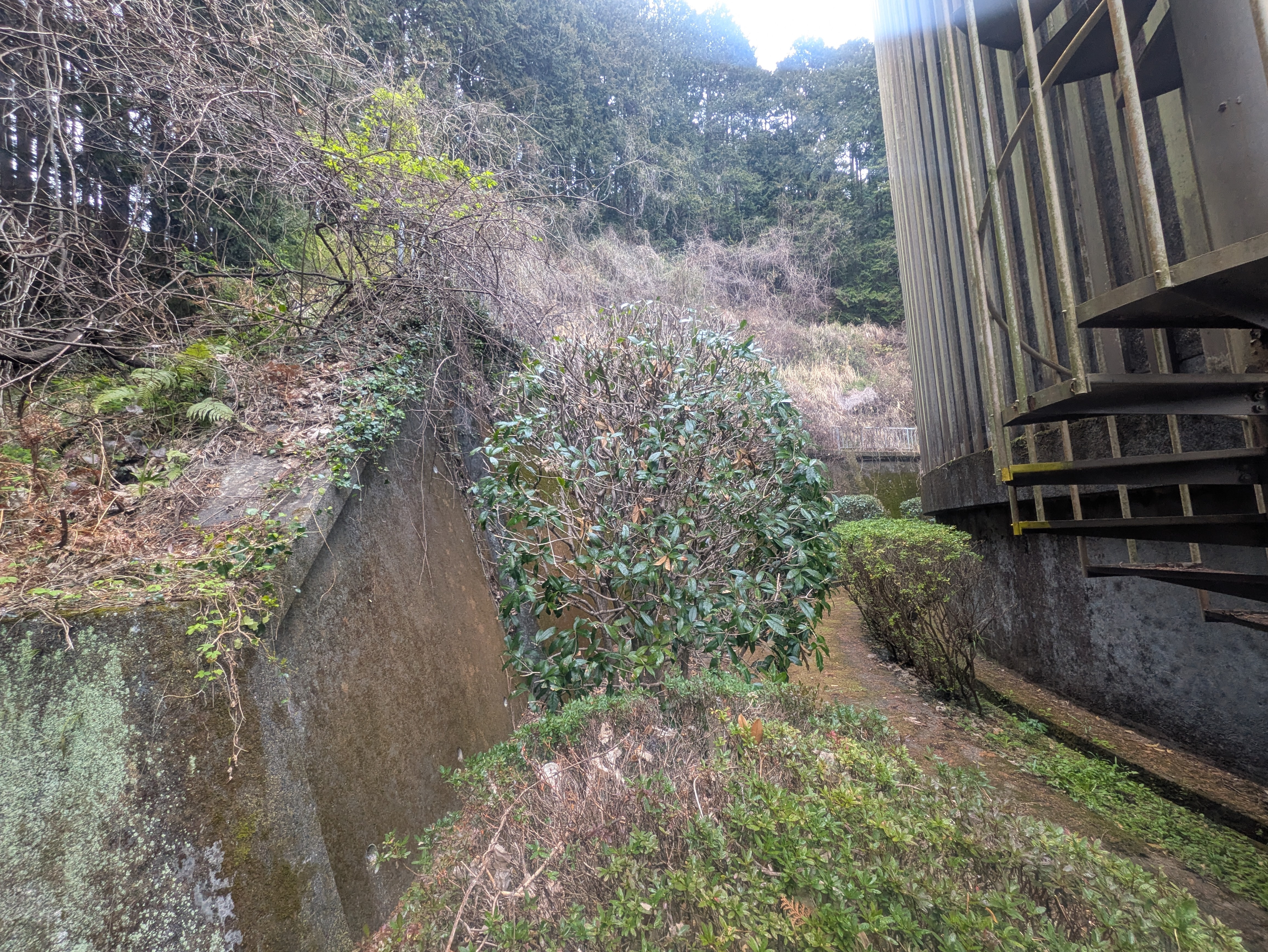 PXL_20260325_002606296