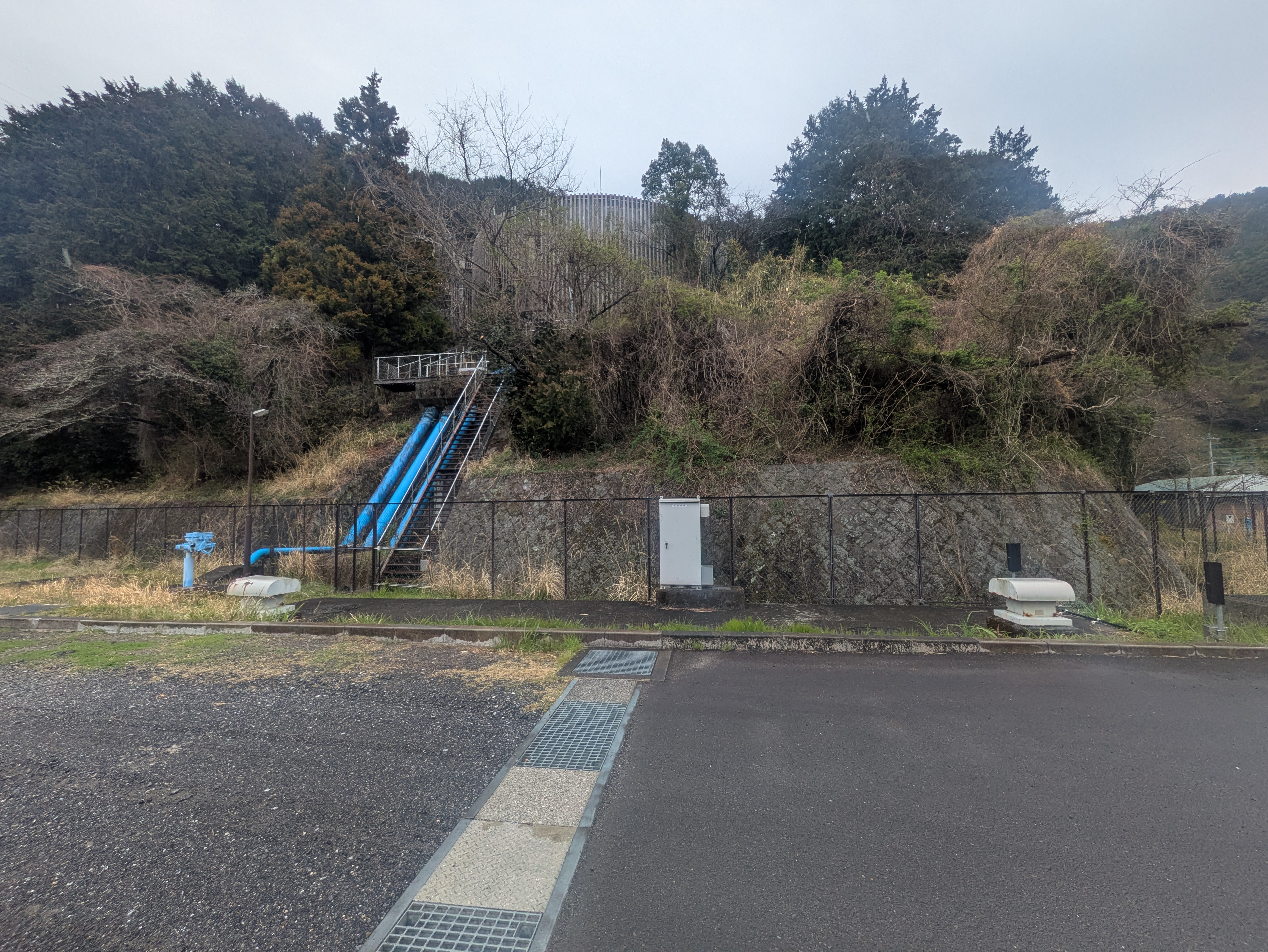 PXL_20260325_003037546