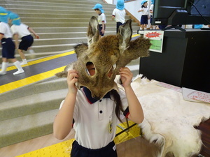DSC01372_コピー