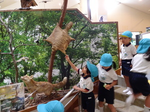 DSC01376_コピー