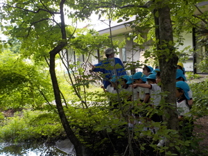 DSCN8521_コピー
