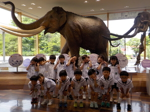 DSCN8595_コピー
