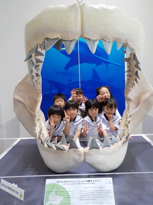 DSCN8605_コピー