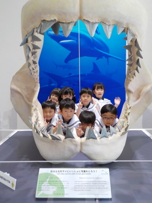 DSCN8604_コピー