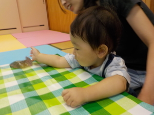 DSCN9125_コピー