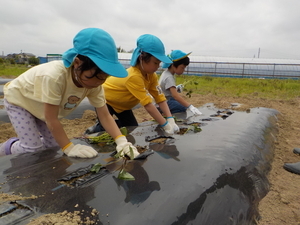 DSCN9624_コピー