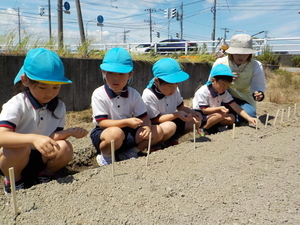 DSCN9796_コピー