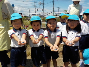 DSCN9799_コピー