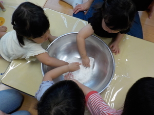 DSCN9374_コピー