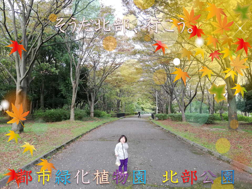 公園情報 石川県金沢市北部公園 都市緑化植物園公式サイト