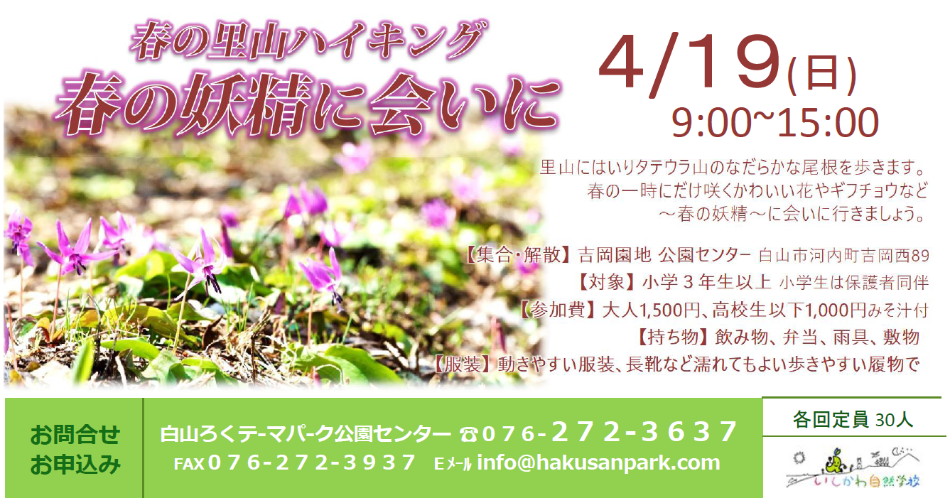 春の里山ハイキング