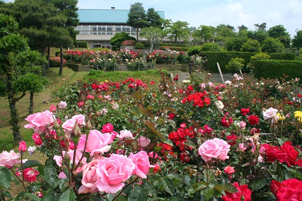 フォトアルバム 奥卯辰山健民公園 金沢市