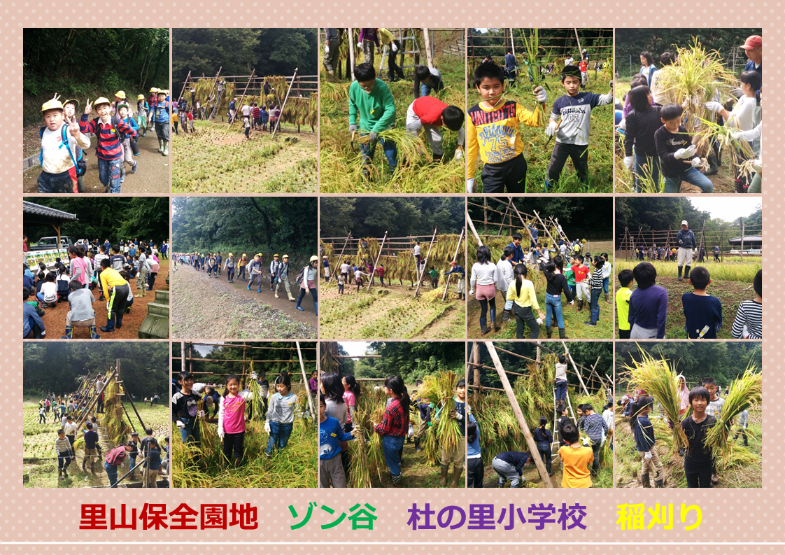 奥卯辰山健民公園