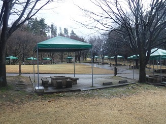 デイキャンプ広場 デイキャンプ広場