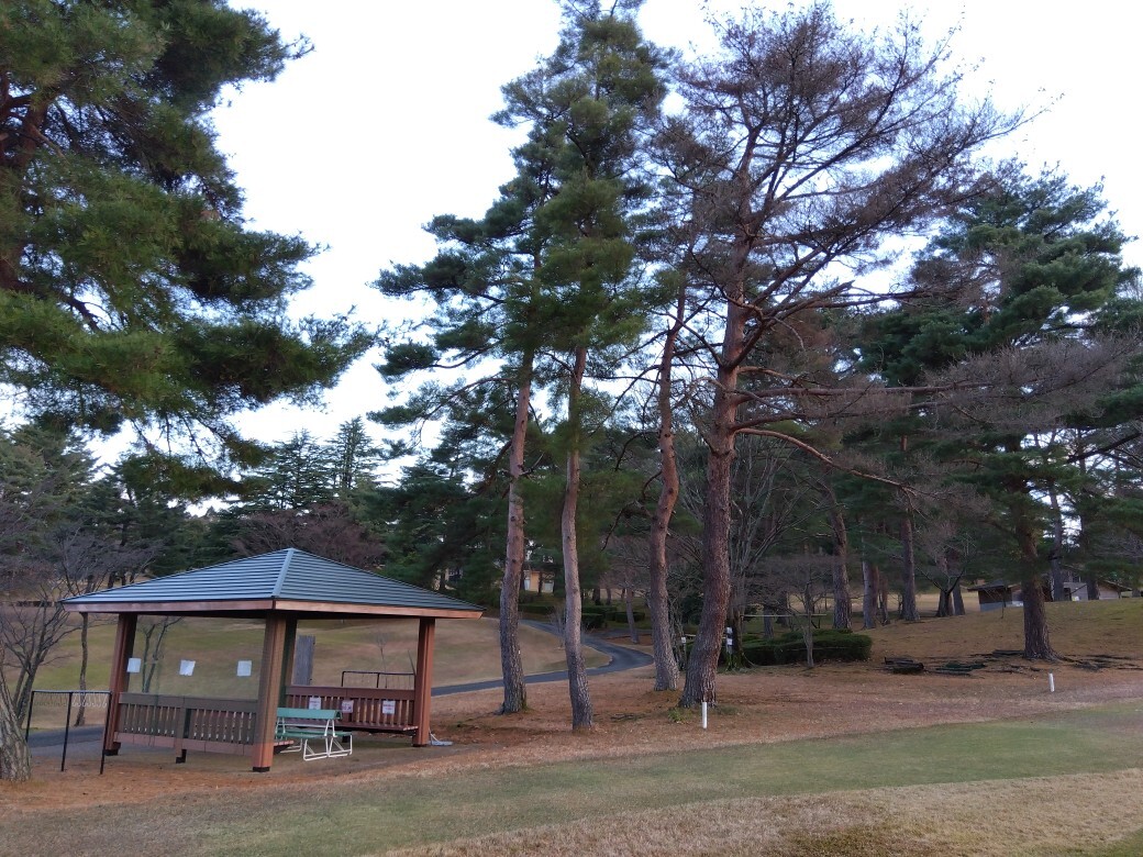 IMG_2025-12-11-07-20-33-918