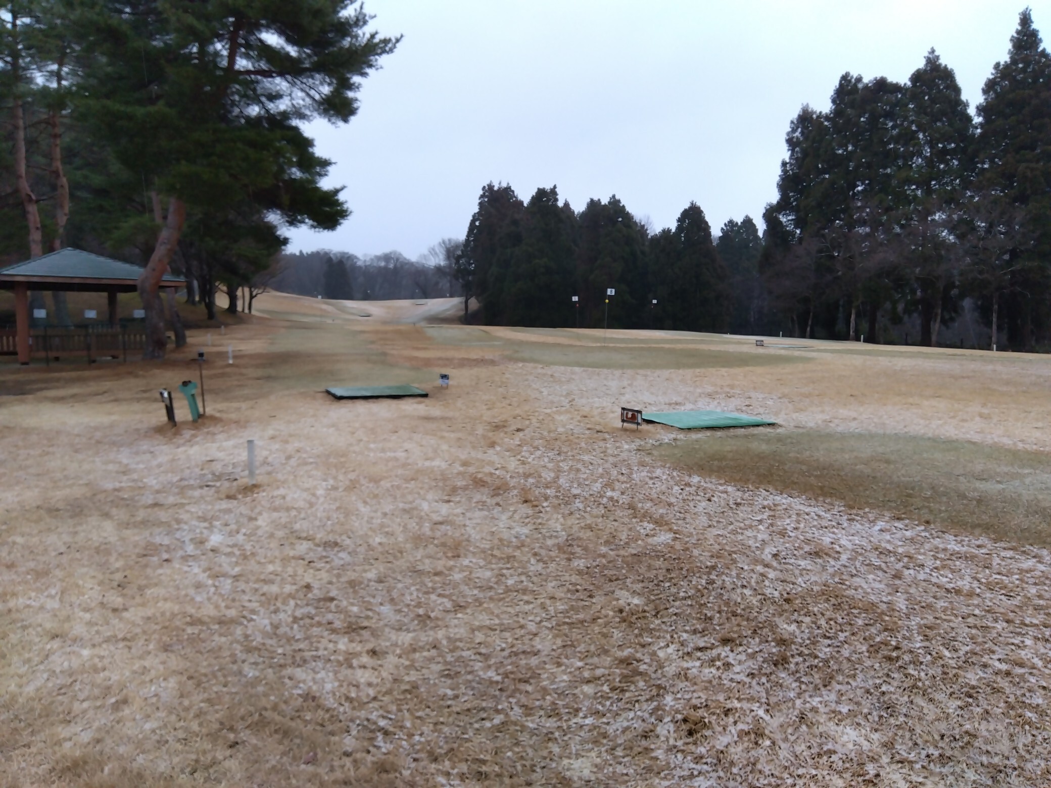 IMG_2026-03-10-07-18-45-632