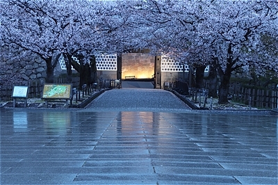 s-3940076　AR ８年３月個展8-1