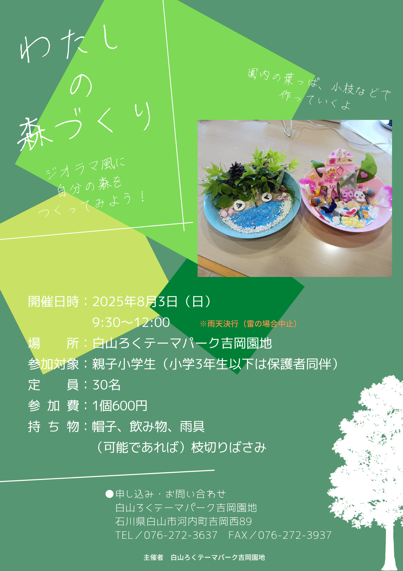 わたしの 森づくり (3)
