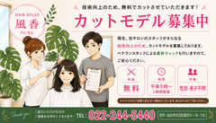 宮城県仙台市カットモデル
