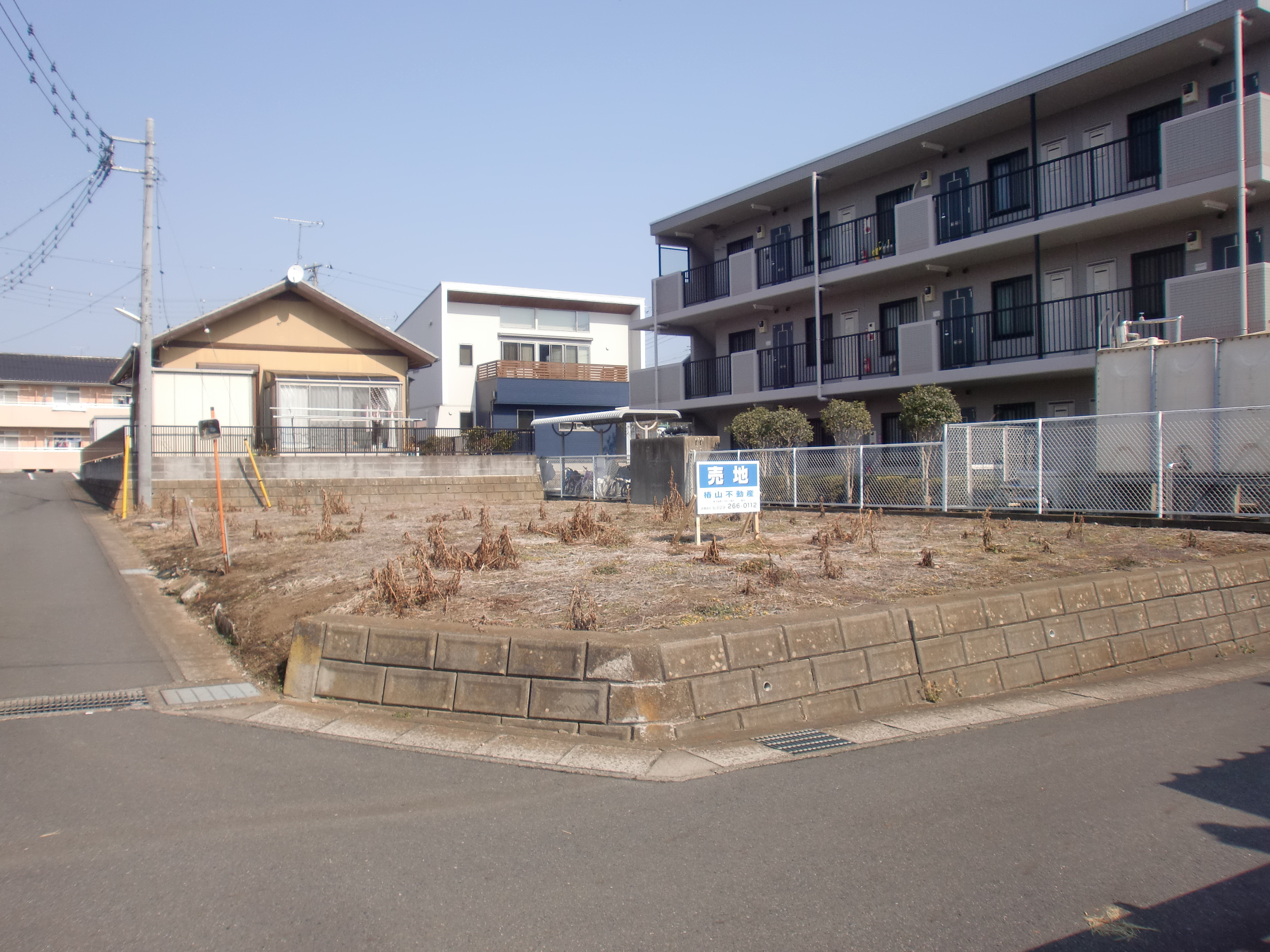 桜道　800万円