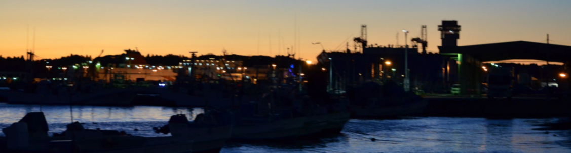 椿山不動産 大洗 ひたちなか市の不動産紹介 椿山不動産 大洗 ひたちなか市の不動産紹介