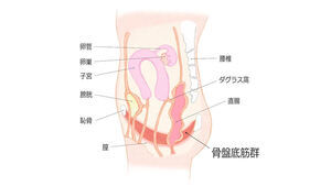 unnamed_コピー