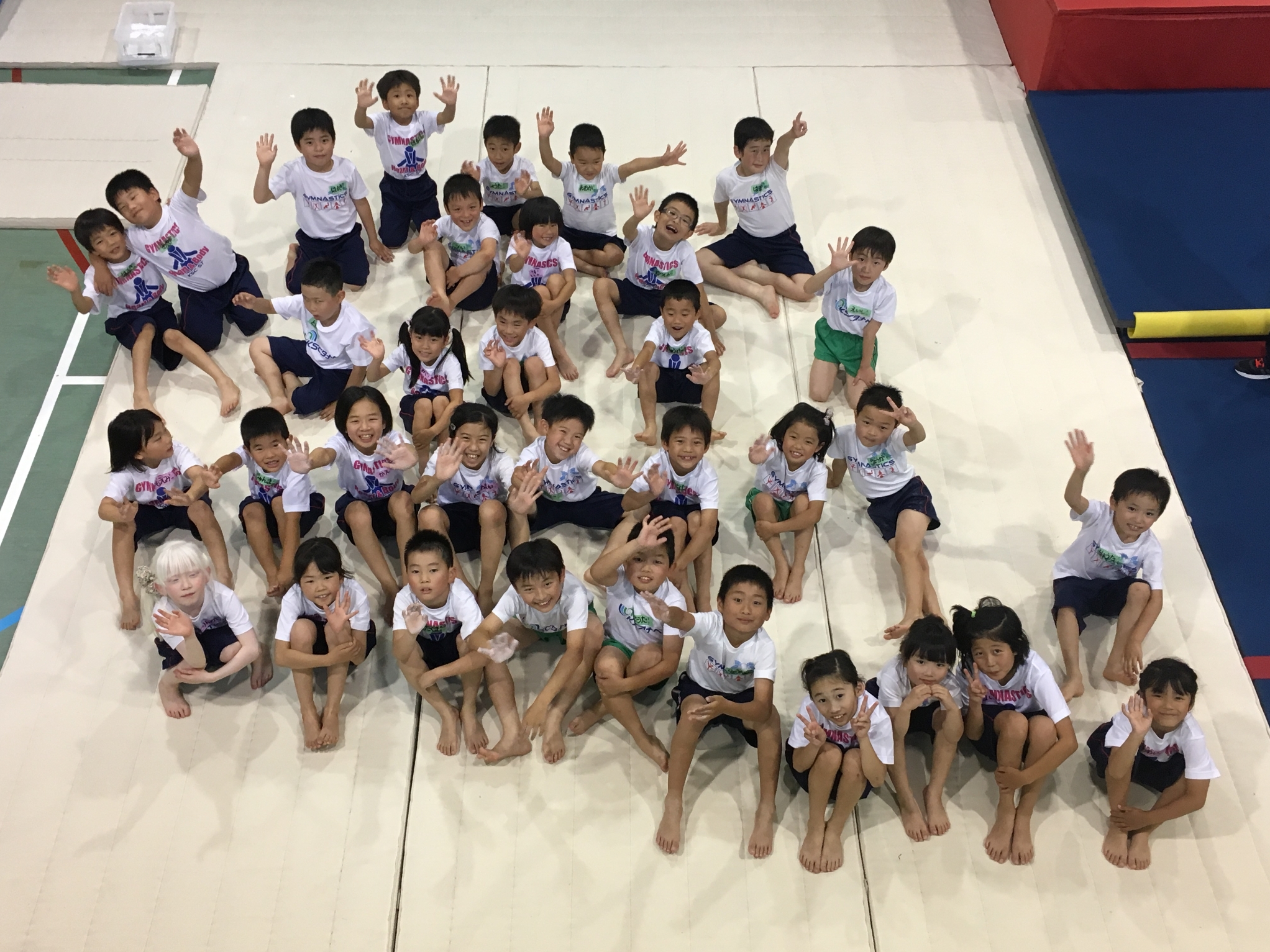 事業案内 関西を中心に水泳 体操教室を行っているksc