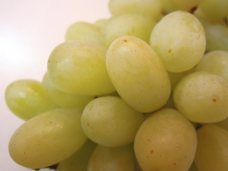 オーストラリア産の「トンプソン」Today’sFruits♪