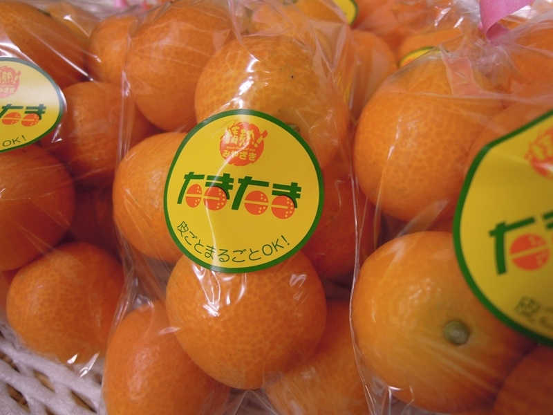 fruits+ 市安商店