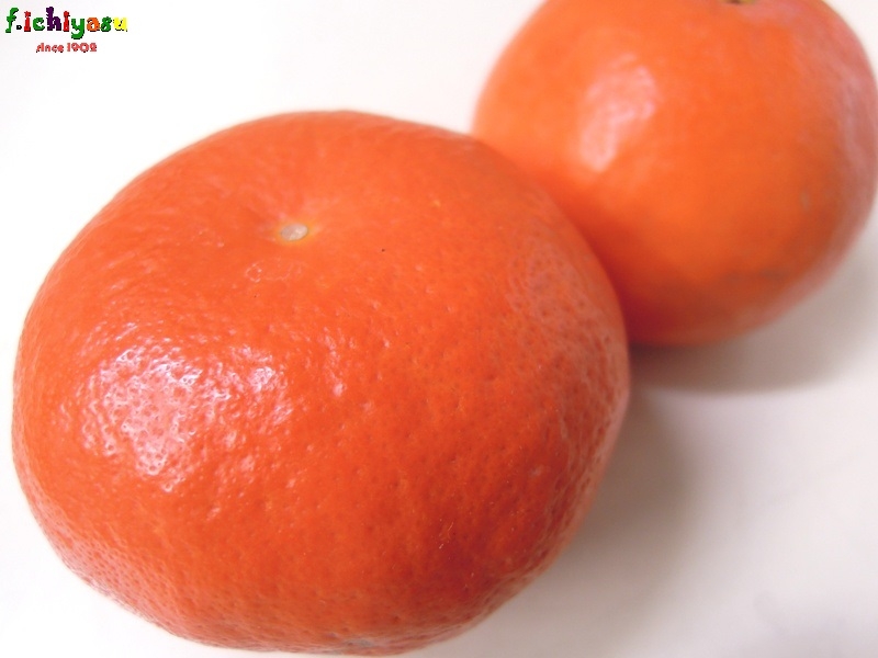 fruits+ 市安商店