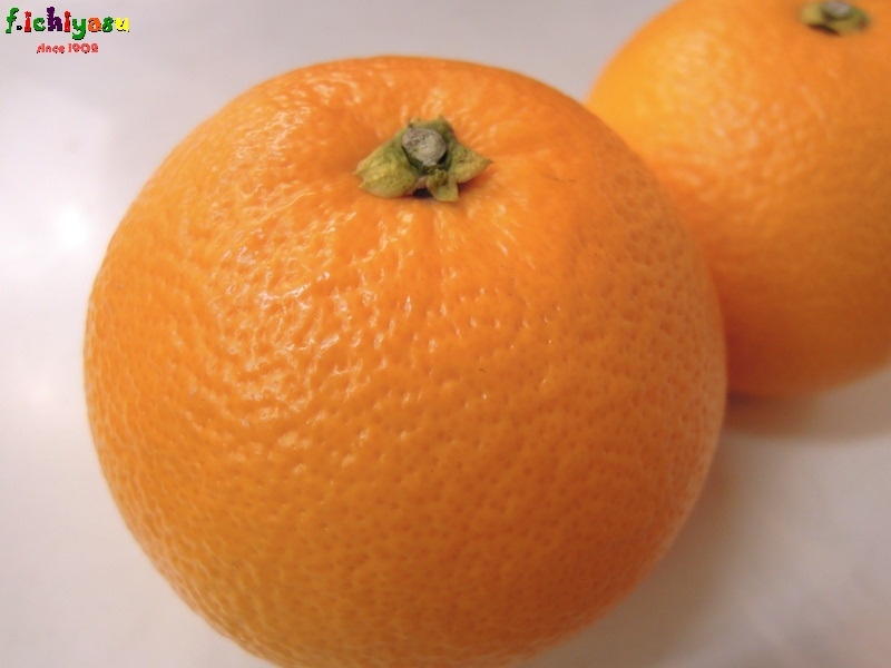 fruits+ 市安商店