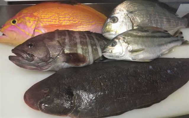 奈良市でフランス料理ならフレンチレストラン パザパ 奈良県奈良市高の原 奈良市でフランス料理ならフレンチレストラン パザパ 奈良県奈良市高の原