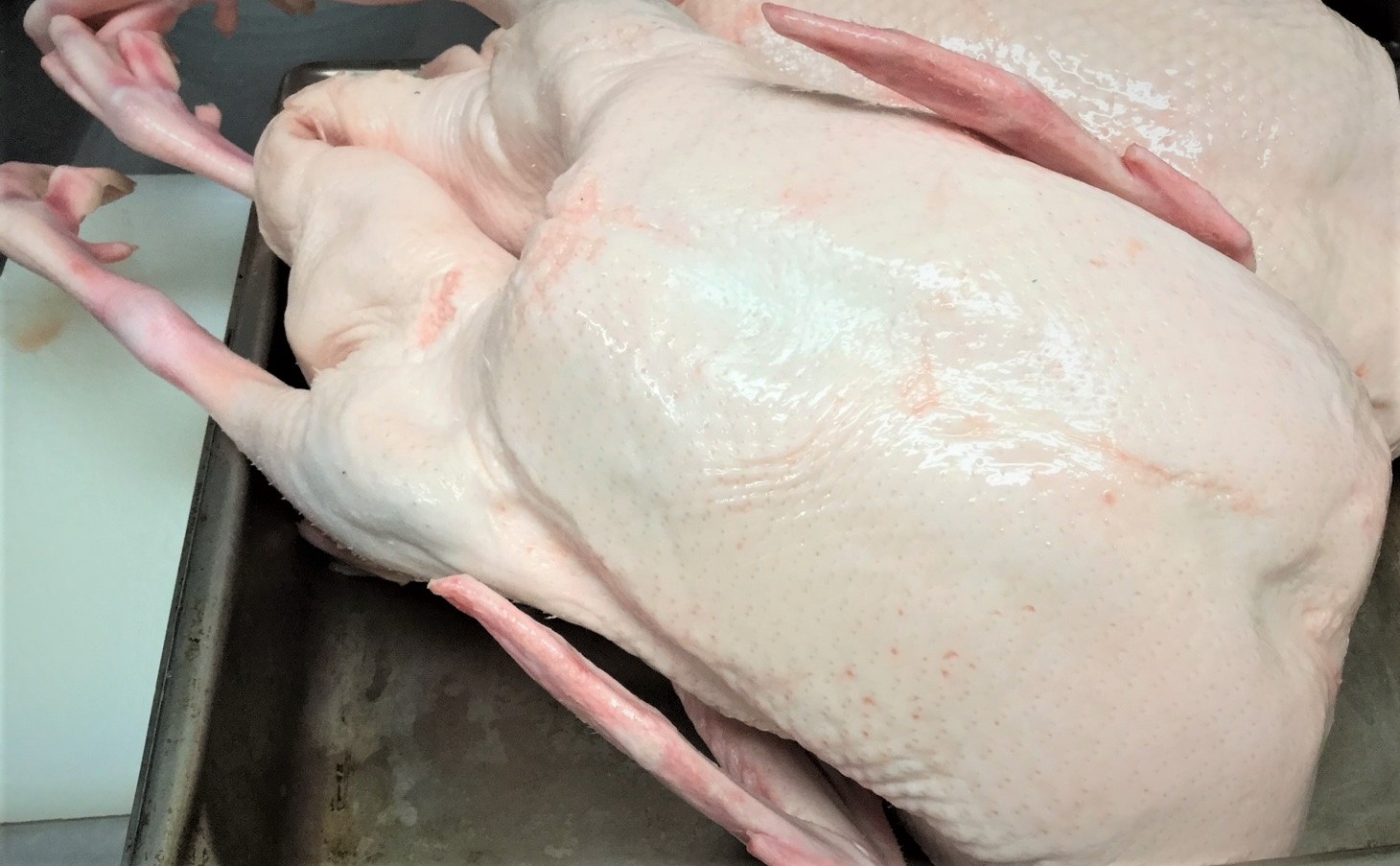 奈良市でフランス料理ならフレンチレストラン パザパ 奈良県奈良市高の原 奈良市でフランス料理ならフレンチレストラン パザパ 奈良県奈良市高の原