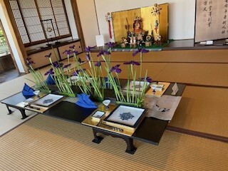 お節句花、博文邸2026.5.1