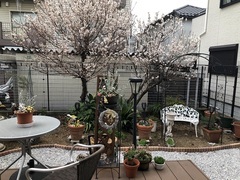 フラワースクール横浜2 (2)