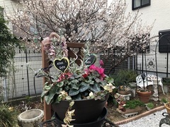 フラワースクール横浜2 (8)