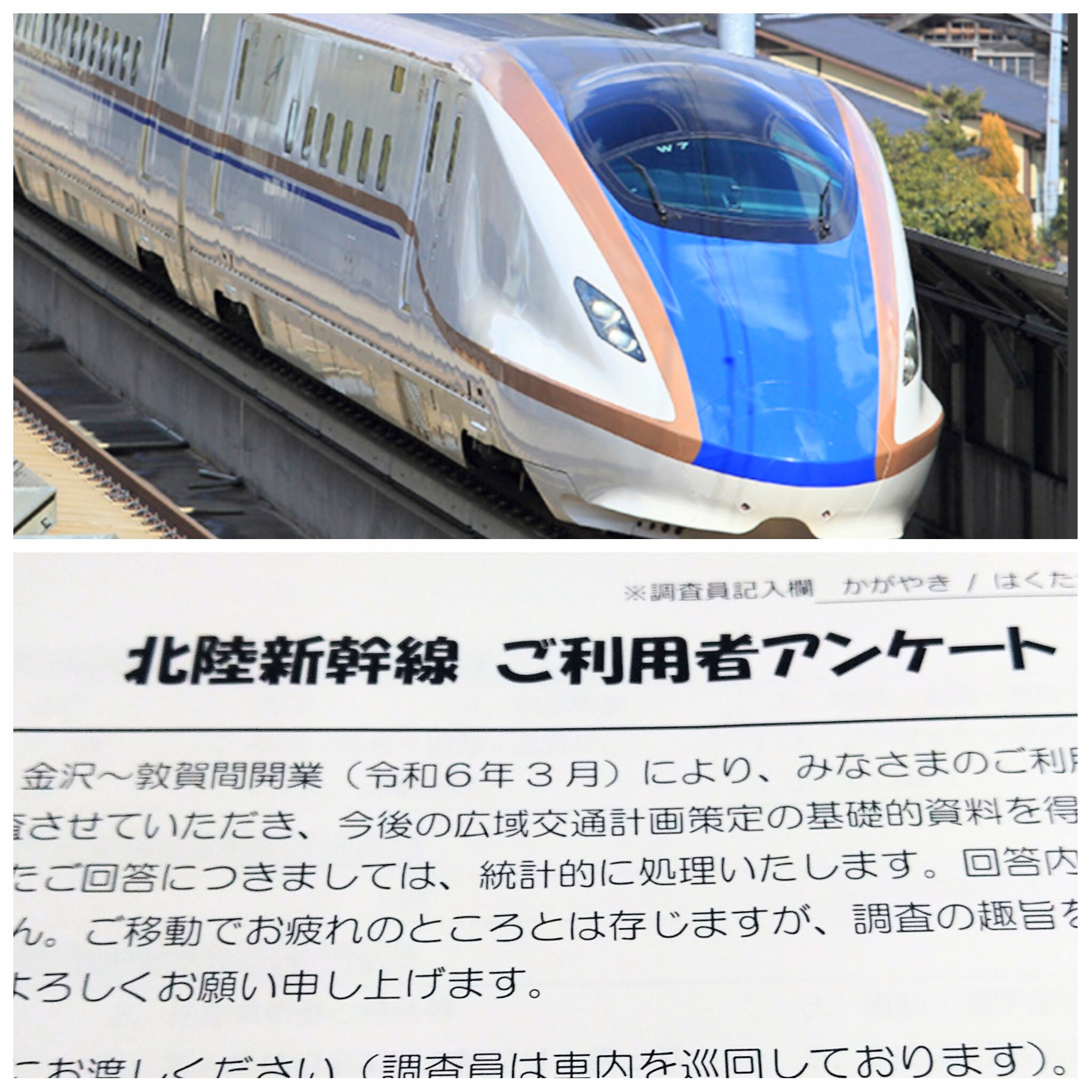 PhotoGrid_Plus_1763539306192~2