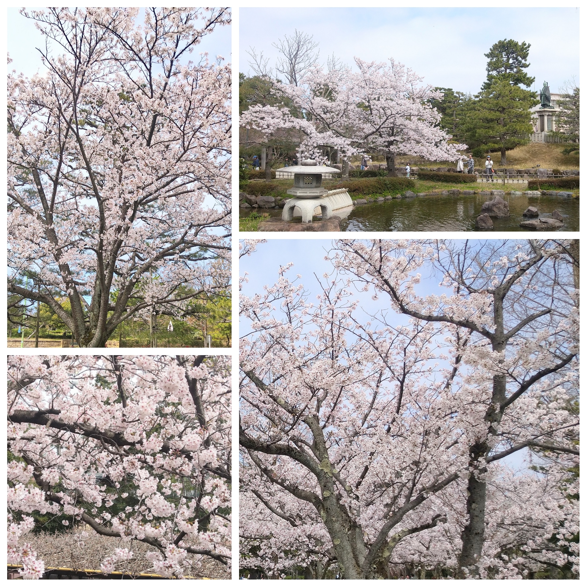 PhotoGrid_Plus_1775365540230