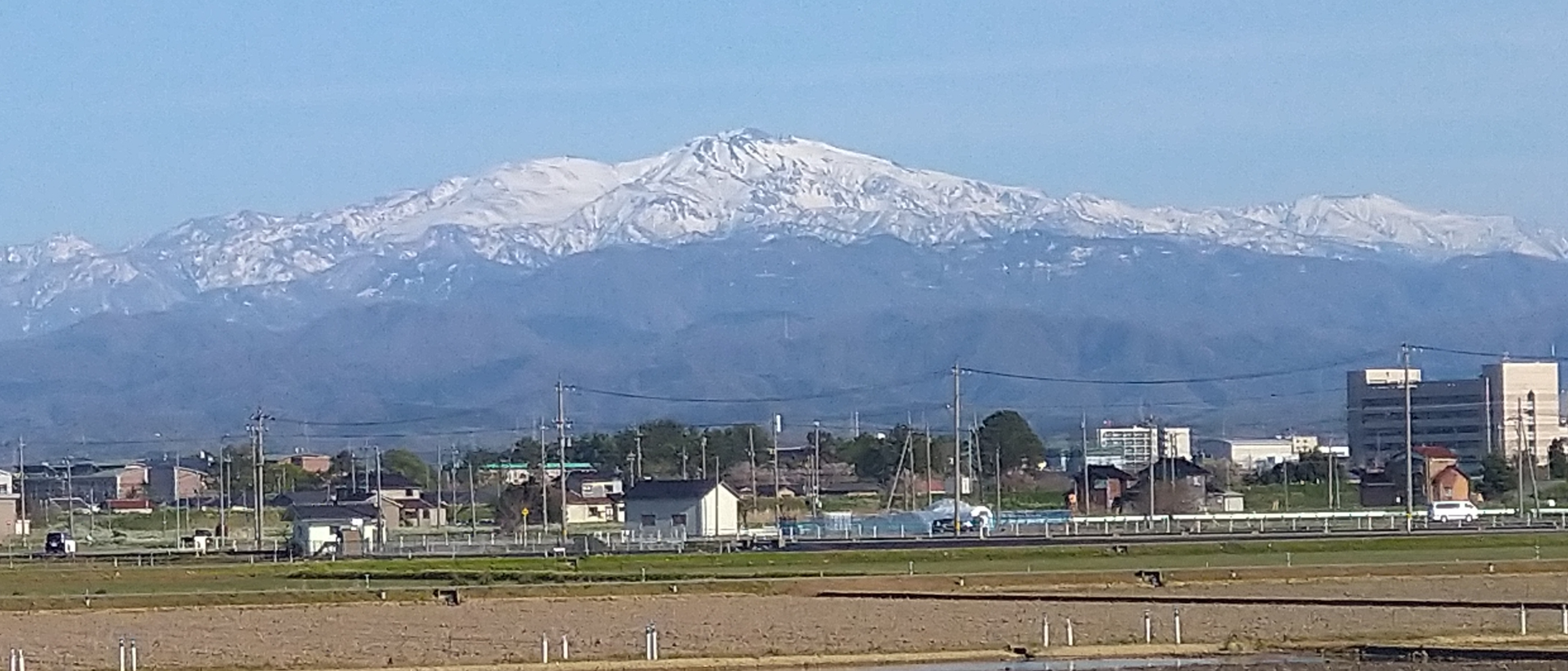 PhotoGrid_Plus_1775983268167