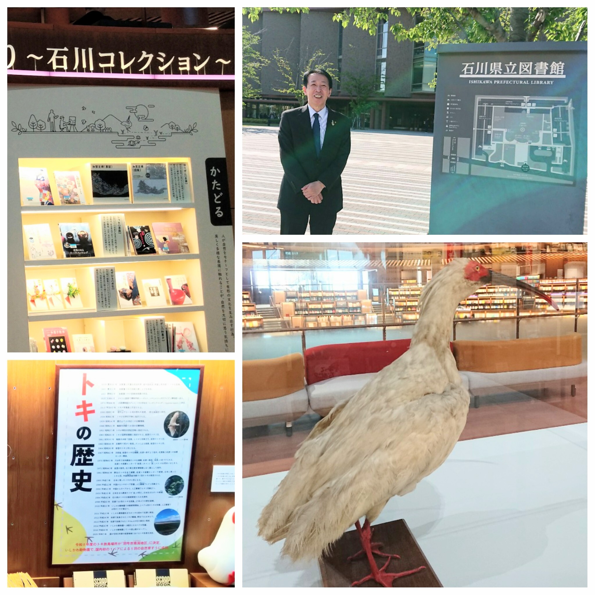 PhotoGrid_Plus_1777111170749~2