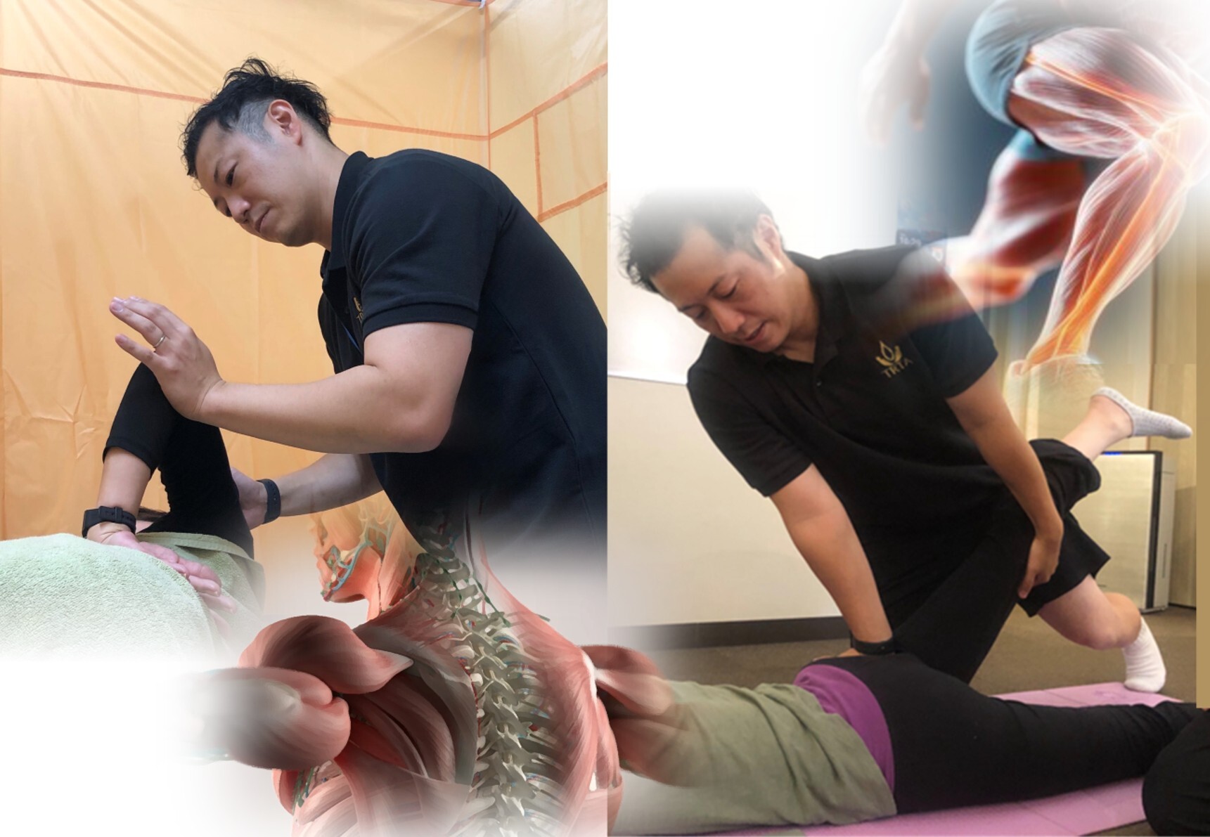 ストレッチワーク