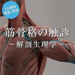 筋骨格　触診