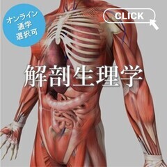 解剖