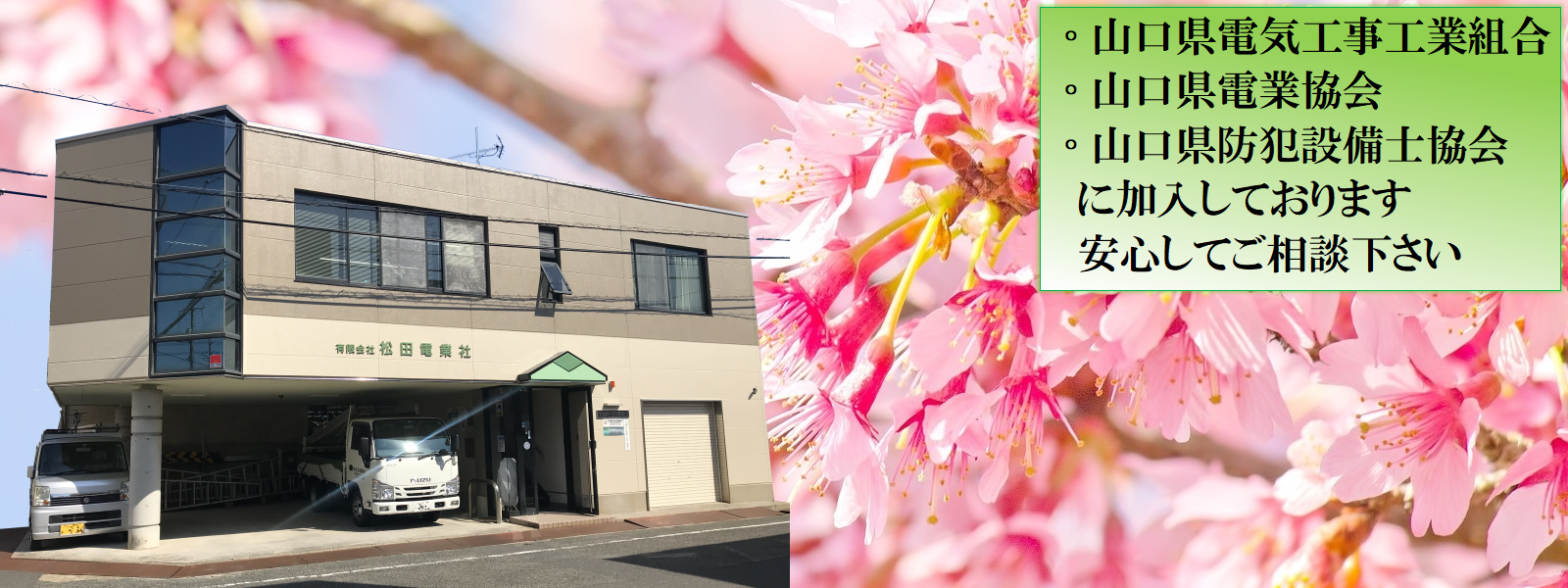 □20250421＿四季＿春(桜)会社