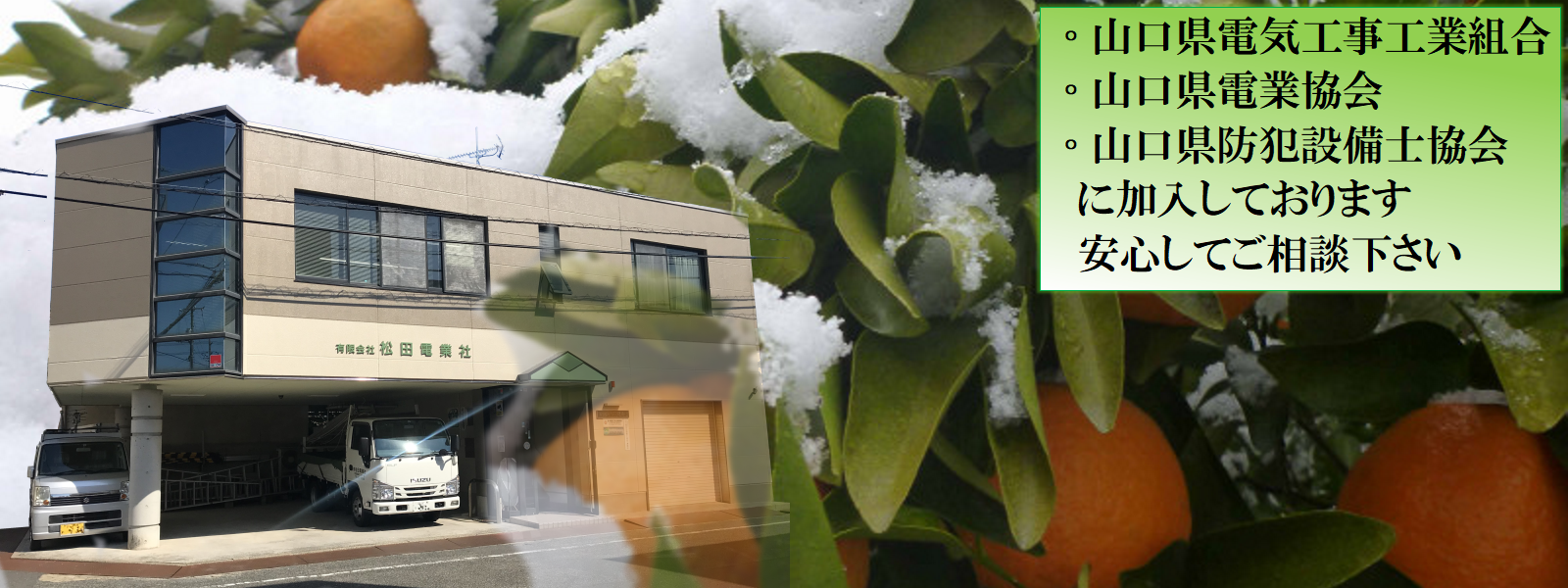 □20250421＿四季＿冬(雪みかん)会社