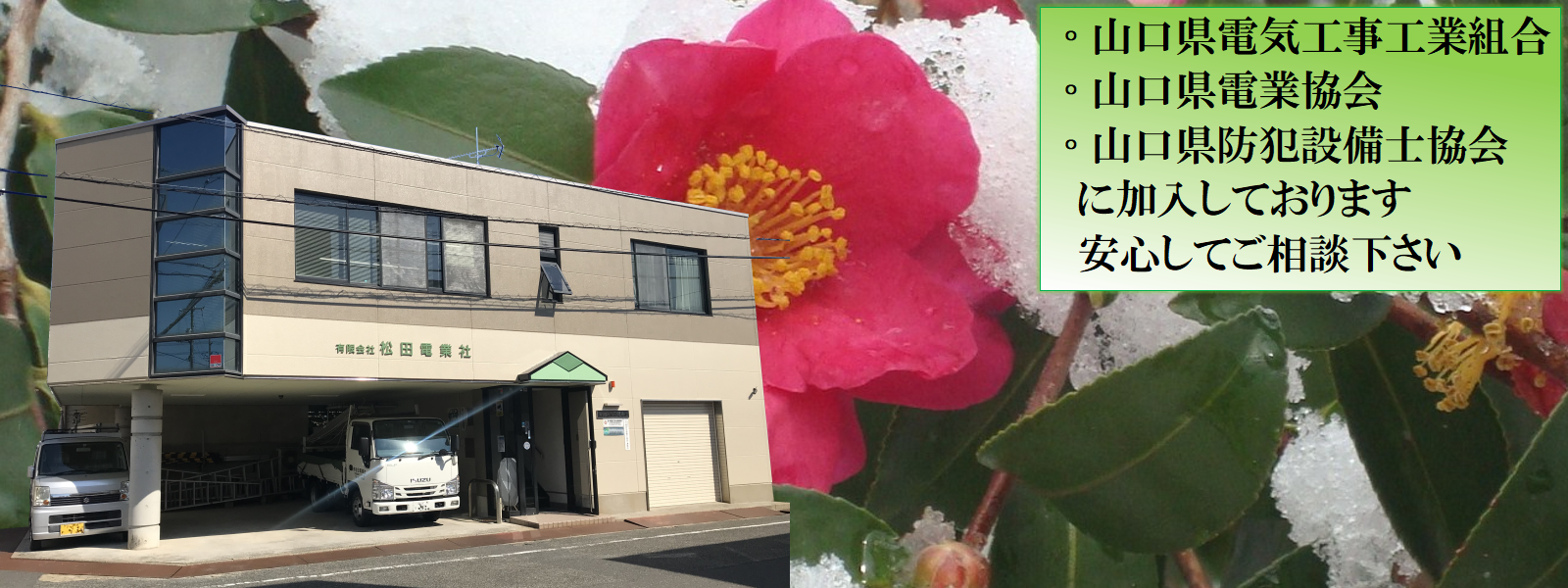 □20250421＿四季＿冬(椿)会社