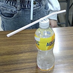 G20251226-実験_t240