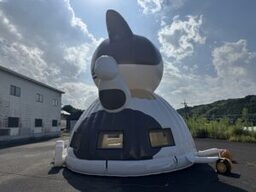 ねこさんドーム2