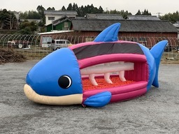 おさかなﾊﾞｳﾝｽ(BP)